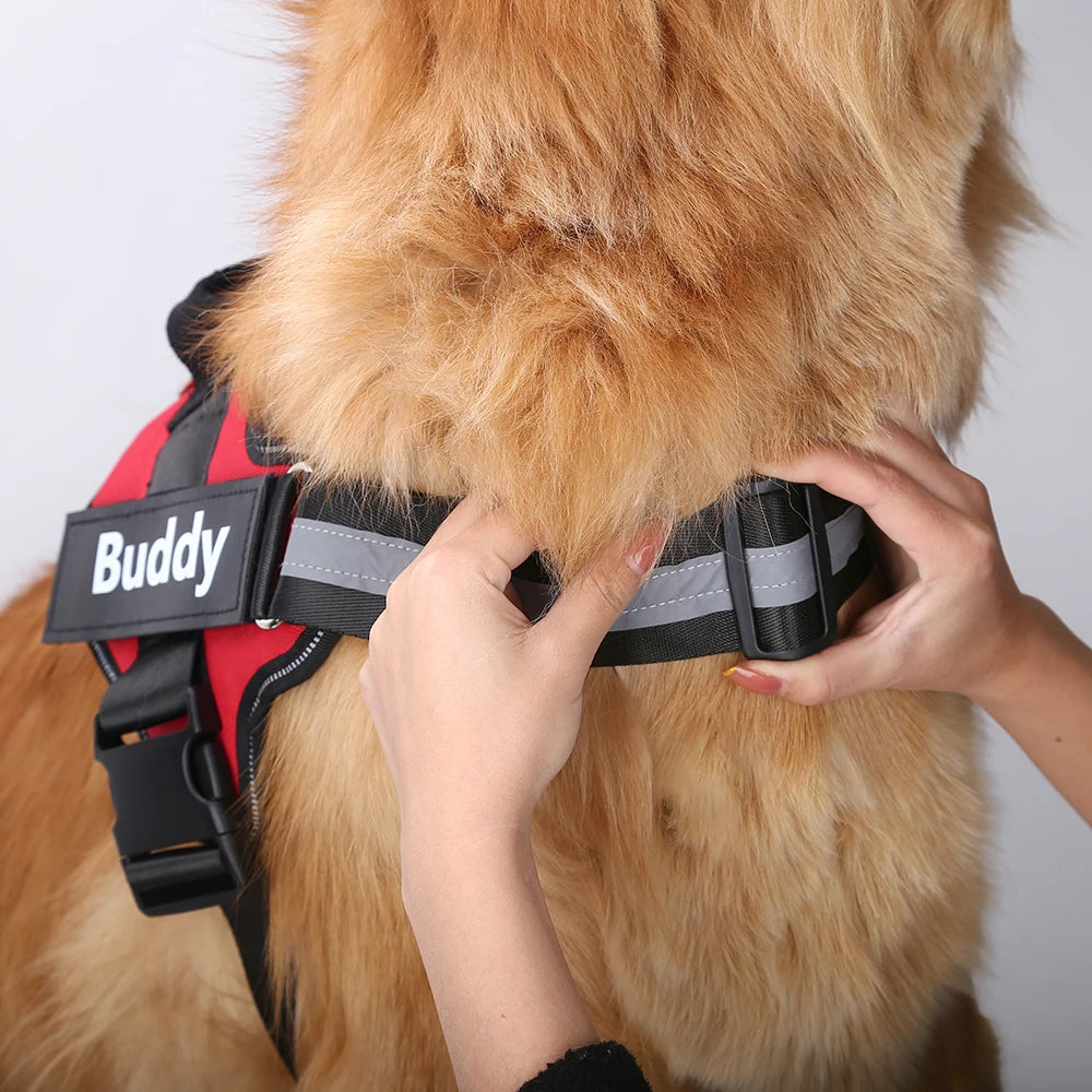 Personalized No-Pull Dog Harness – Reflective & Secure